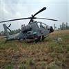 Bisforana:Emergency-landing-of-Air-Force-Apache-helicopter