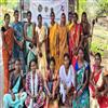 Bisforana:Odishas-first-formalized-sal-seed-trade-and-forest-economy-model-launched-under-womens-leadership